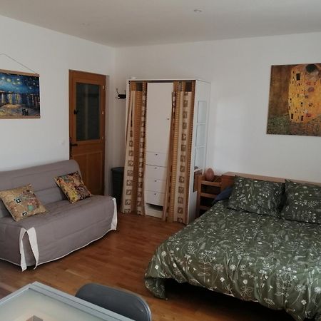 Studio Dans Maison De Ville Тулуза Екстер'єр фото